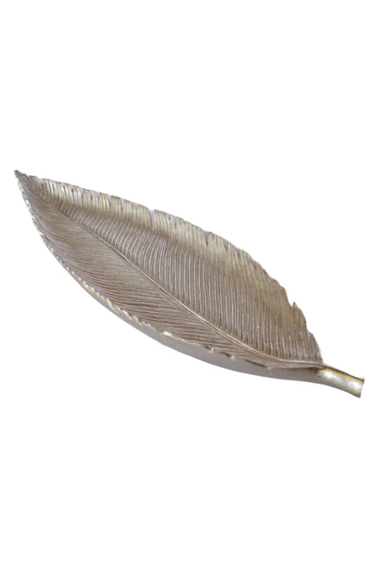 Hoja