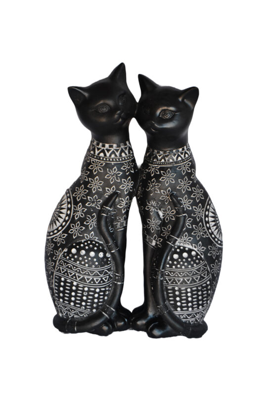 Gato