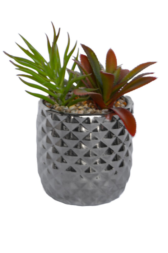 Planta Suculenta artificial c/pote
